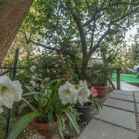 Holiday home Raggio Di Sole